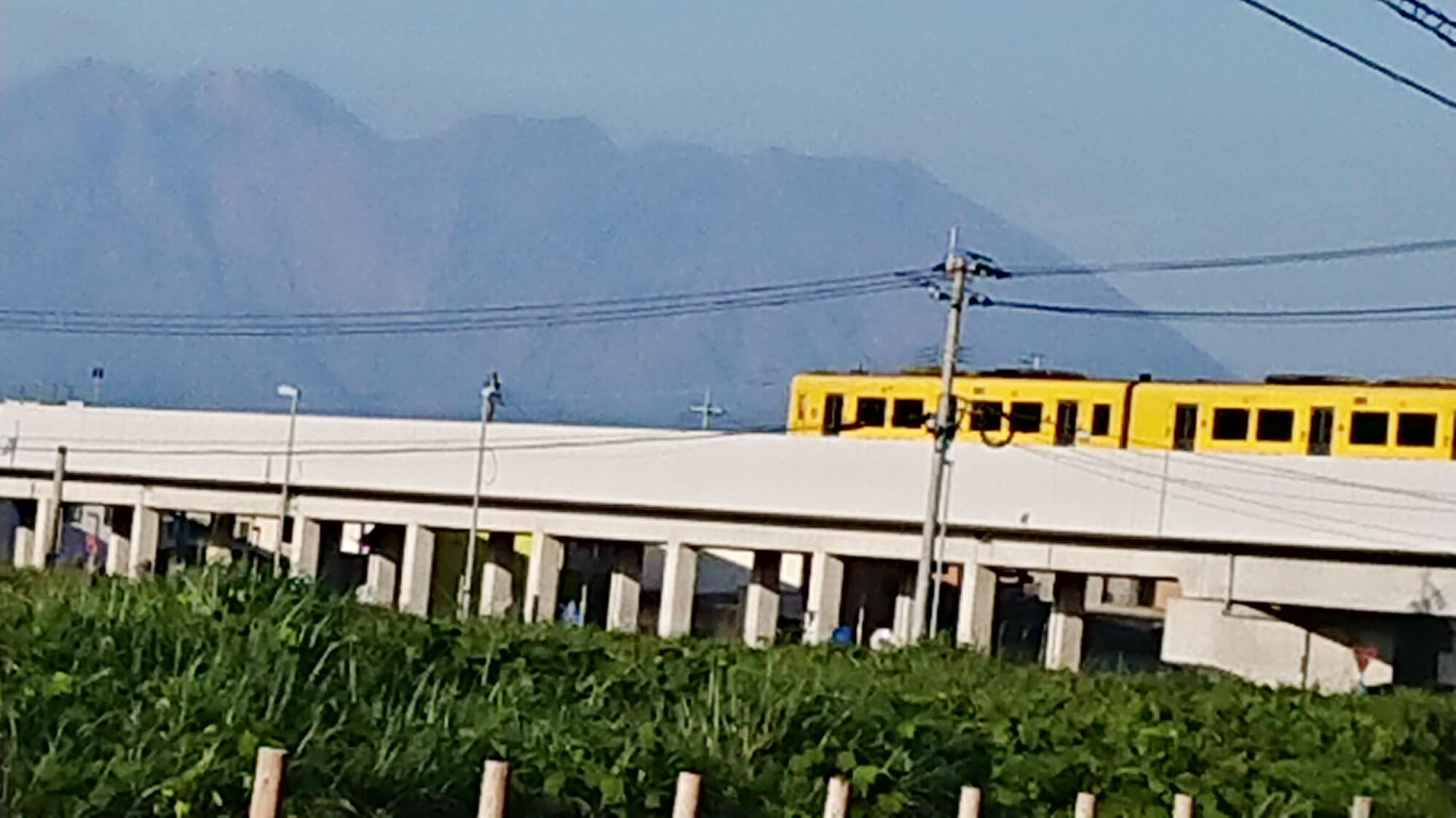 電車と桜島の風景