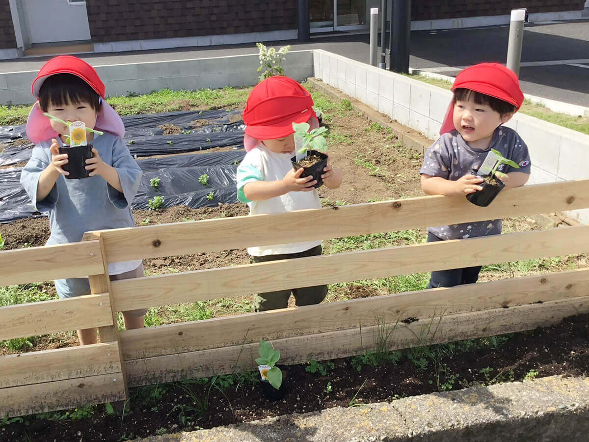菜園で苗を持つ3人の子ども